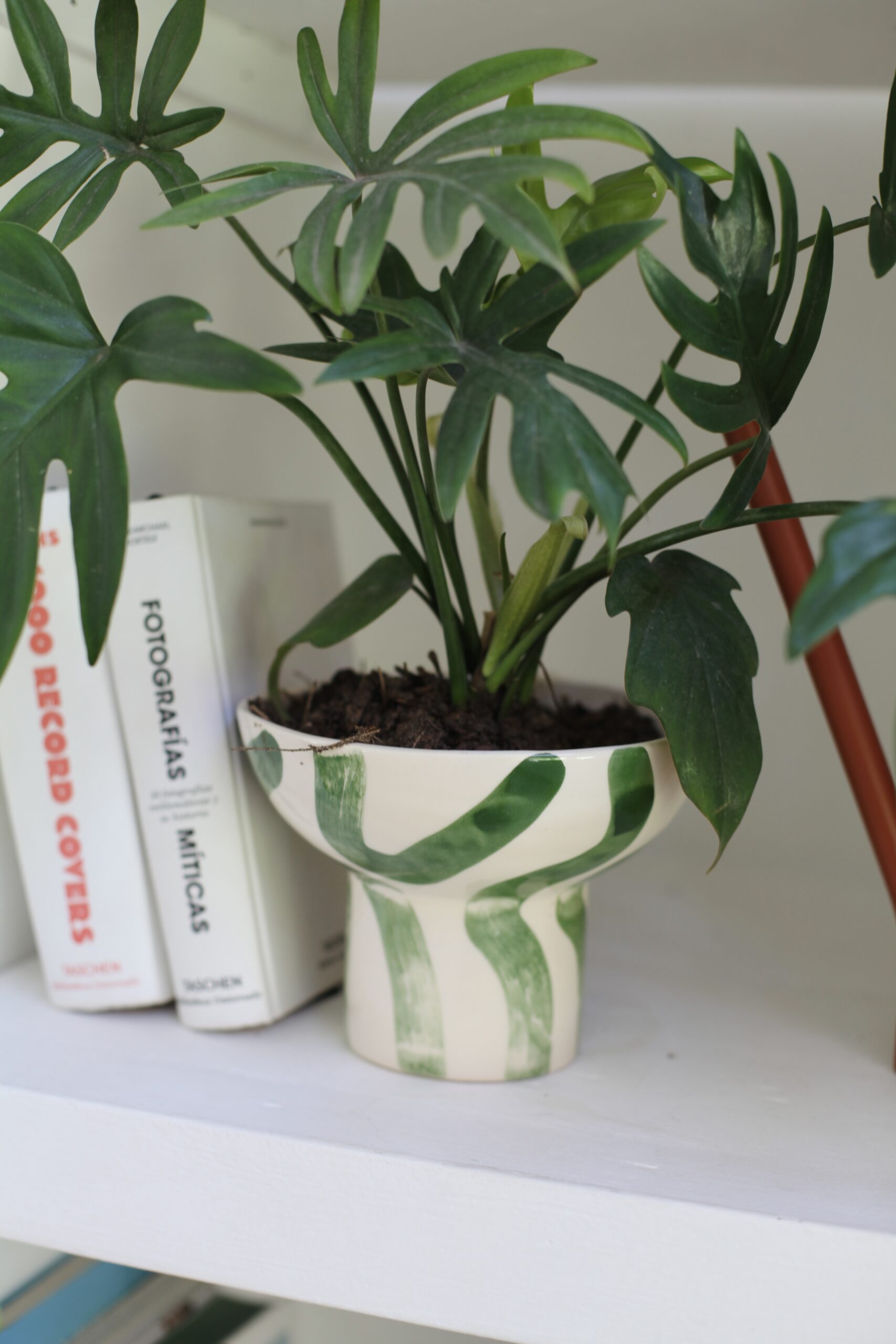 Maceta cerámica artesanal con diseño de ondas verdes en estante minimalista con libros, estilo escandinavo