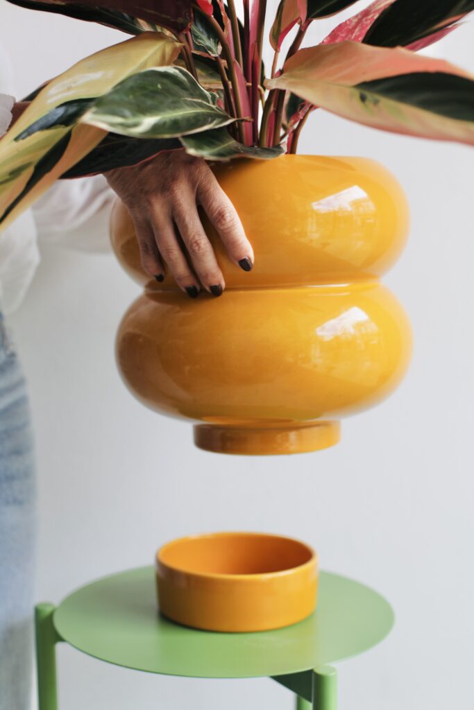 Maceta cerámica de diseño amarillo mostaza con Croton colorido en soporte verde, ejemplo de maceta de diseño
