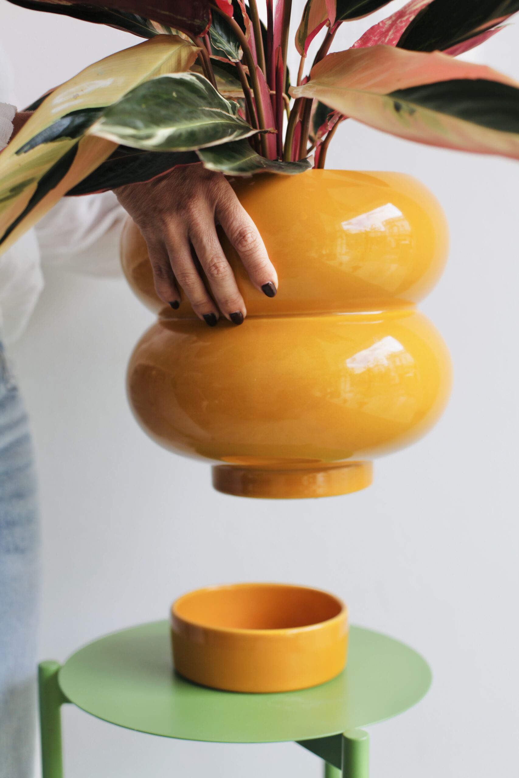 Maceta cerámica de diseño amarillo mostaza con Croton colorido en soporte verde, ejemplo de maceta de diseño