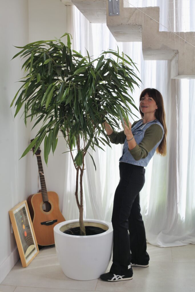 Mujer junto a planta muy alta en maceta blanca cilíndrica grande en living moderno, macetas grandes de interior cuáles elegir