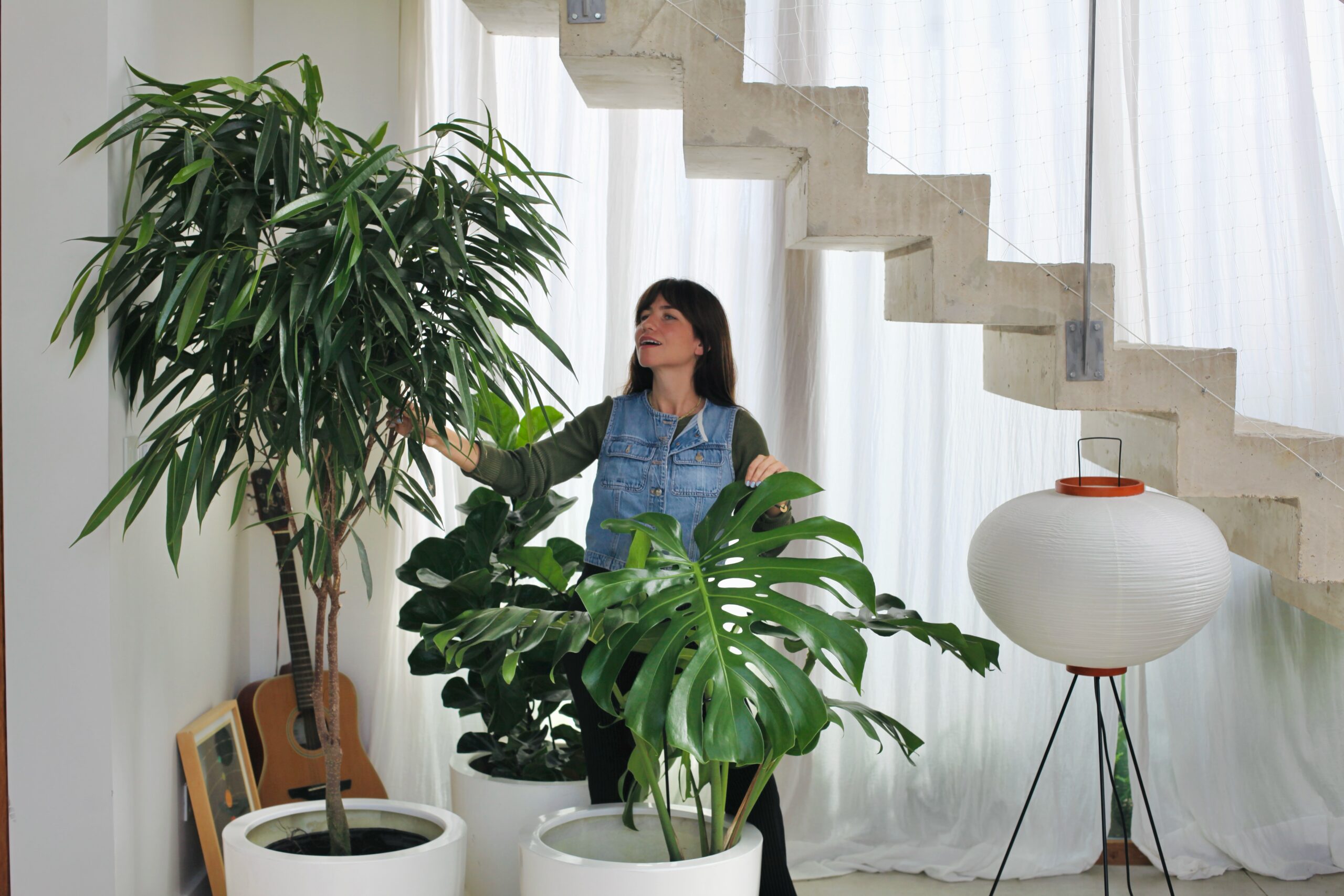 Plantas grandes en macetas blancas cilîndricas decorando un living moderno con escalera