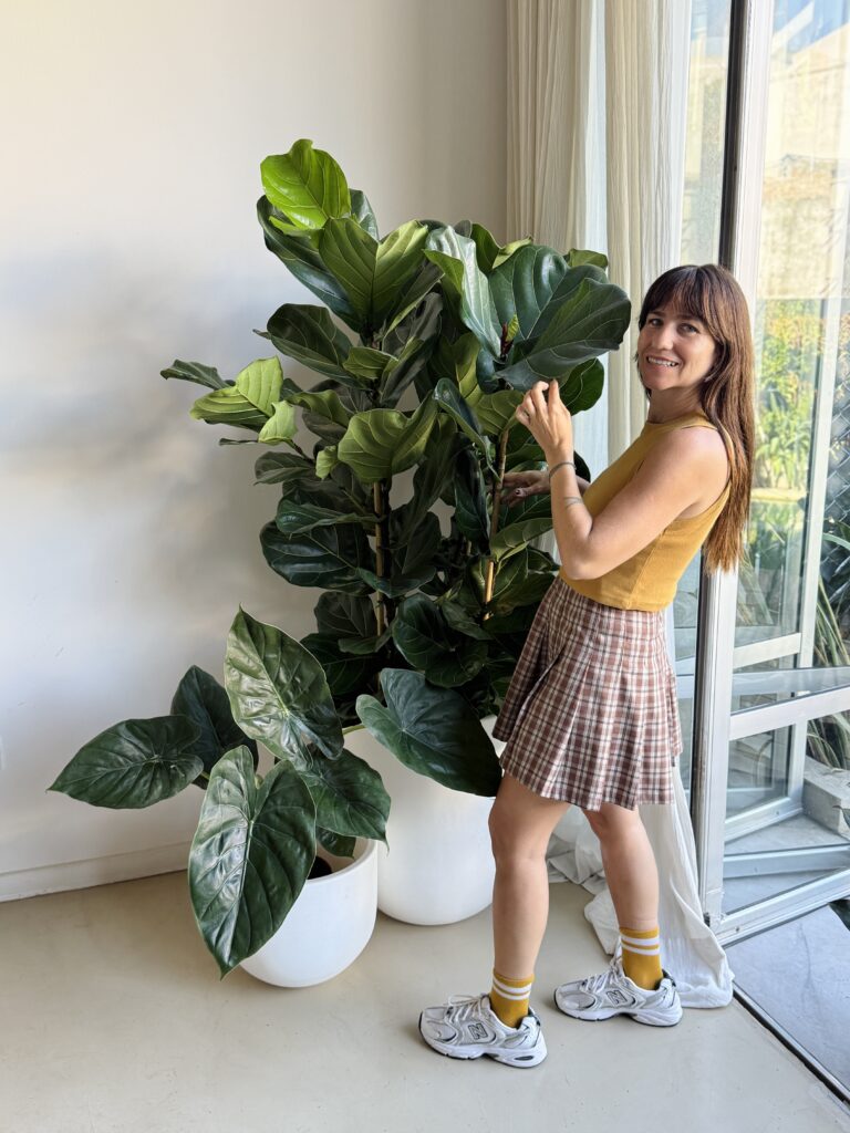Mujer junto a Ficus lyrata en maceta blanca bien elegida formando un rincón verde en living moderno