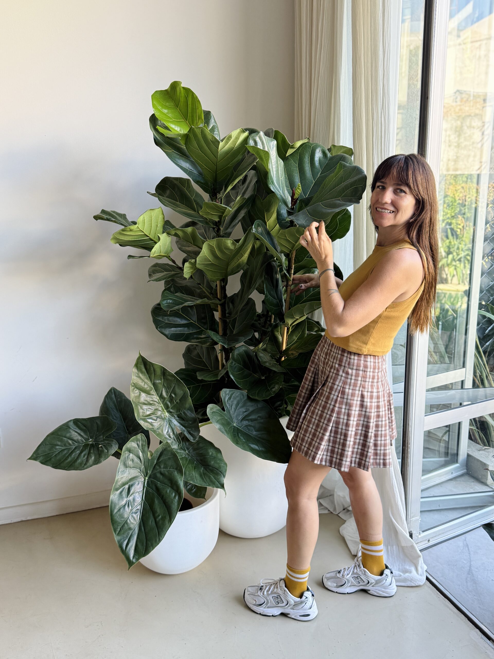Mujer junto a Ficus lyrata en maceta blanca bien elegida formando un rincón verde en living moderno